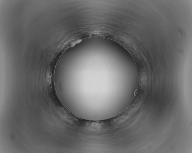 X0000112940282200909071101