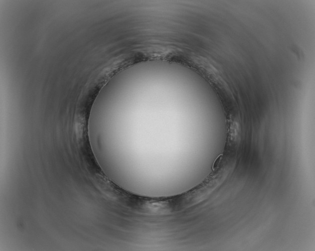 X0000112940283200909071101