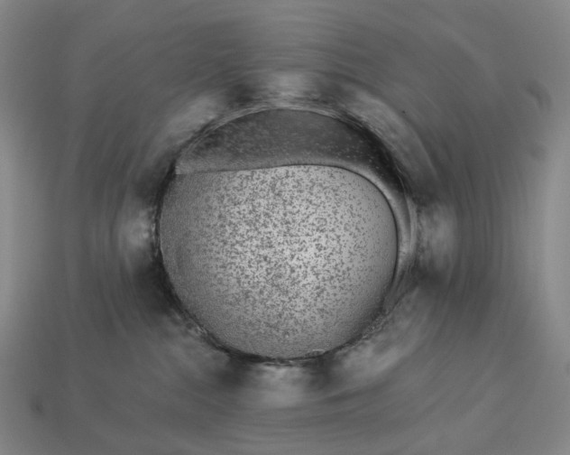 X0000112940284200909071101