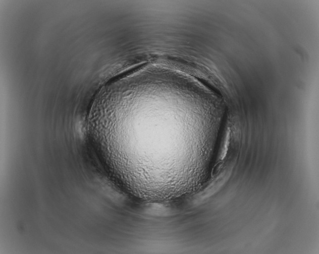 X0000112940285200909071101