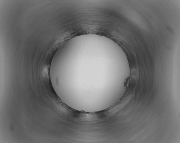 X0000112940286200909071101