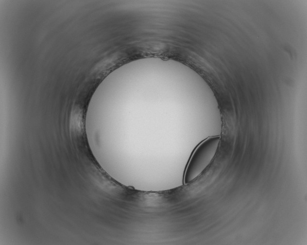 X0000112940287200909071101