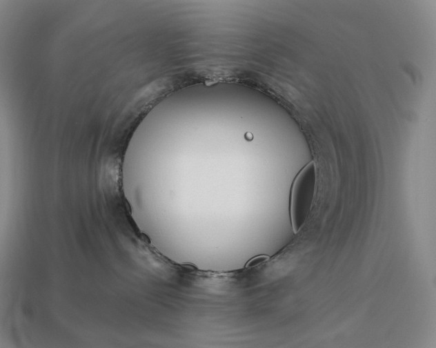 X0000112940288200909071101