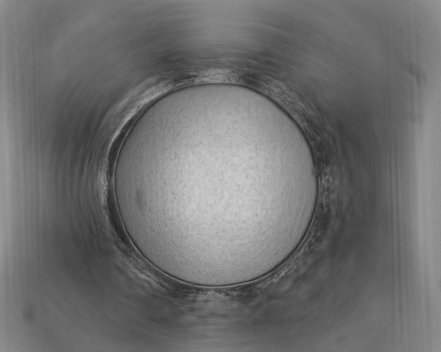 X0000112940290200909071100