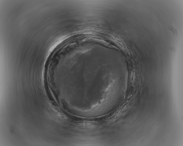 X0000112940292200909071100