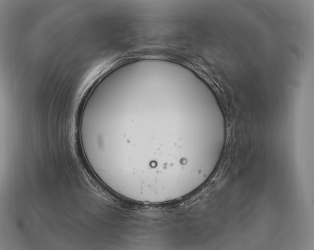 X0000112940293200909071100