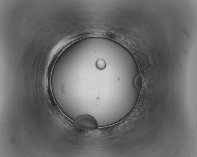 X0000112940294200909071100