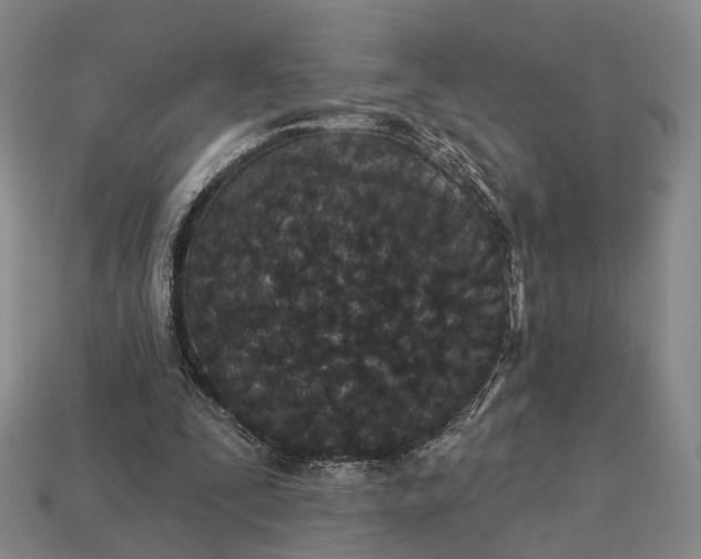 X0000112940295200909071100