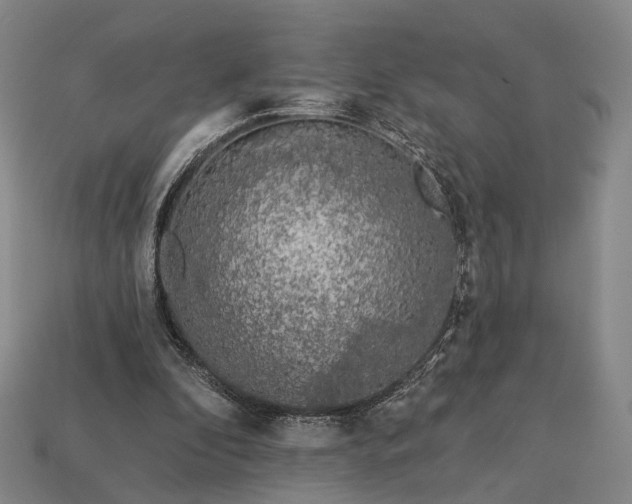 X0000112940296200909071100