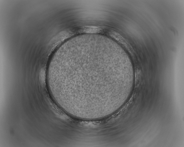 X0000112940297200909071100