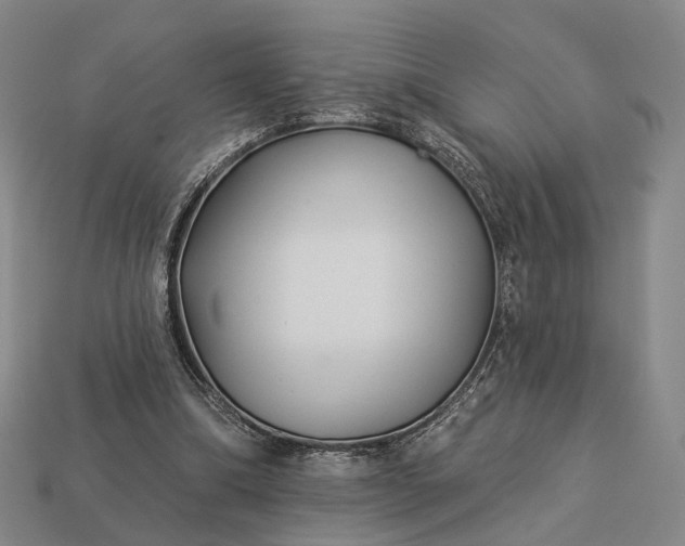 X0000112940298200909071100