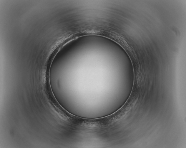 X0000112940299200909071100