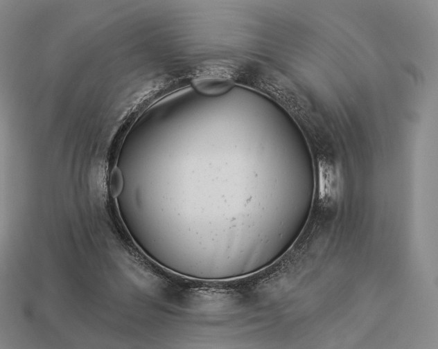 X0000112940300200909071100