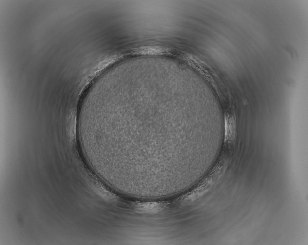 X0000112940301200909071100