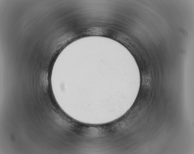 X0000112940302200909071100