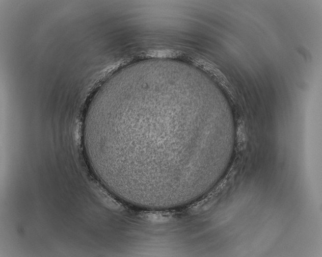 X0000112940305200909071100