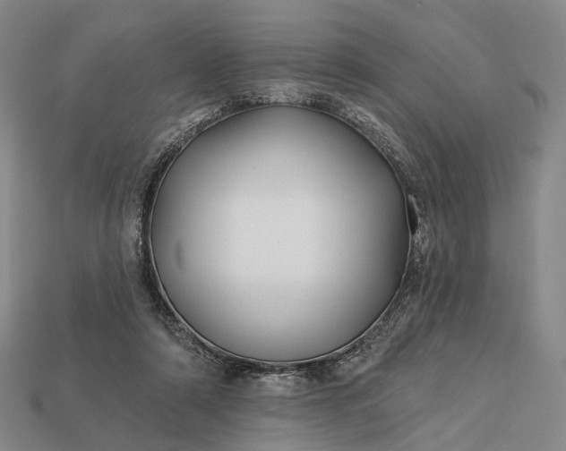 X0000112940306200909071100