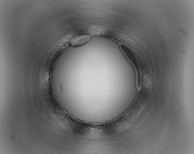 X0000112940308200909071100