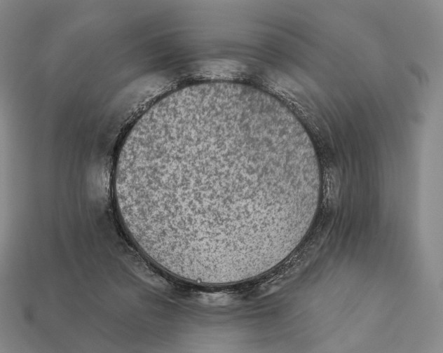 X0000112940309200909071100