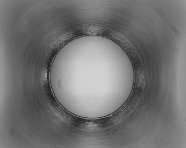 X0000112940310200909071100