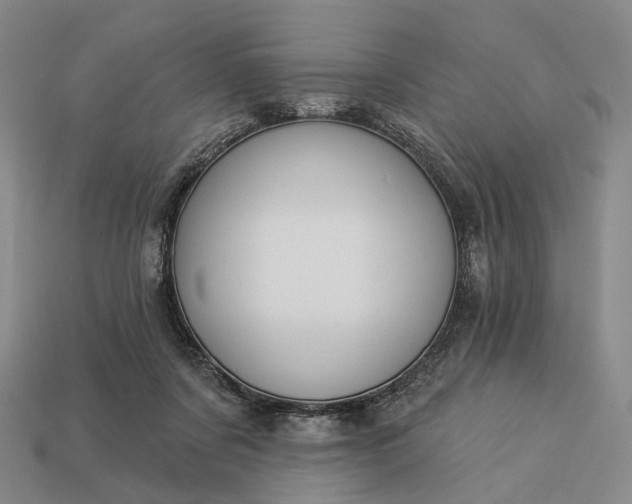 X0000112940311200909071100