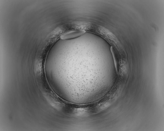 X0000112940312200909071100