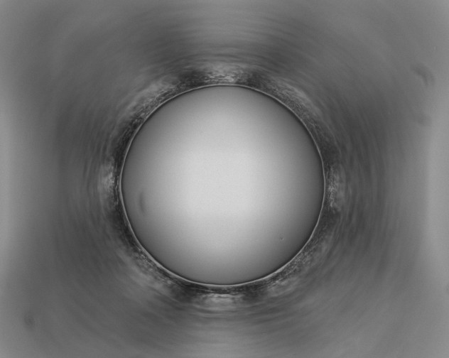 X0000112940314200909071100