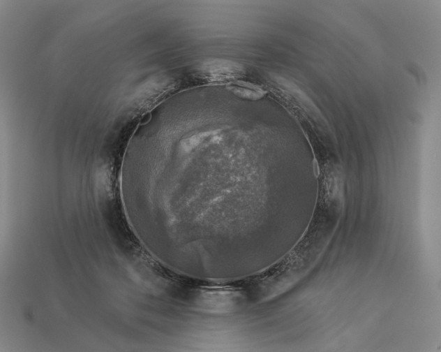 X0000112940316200909071100