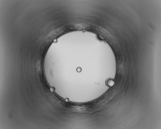 X0000112940317200909071100