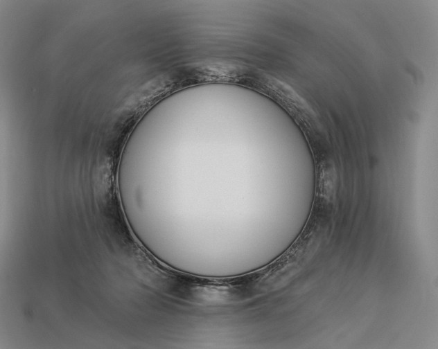 X0000112940318200909071100