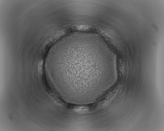 X0000112940319200909071100