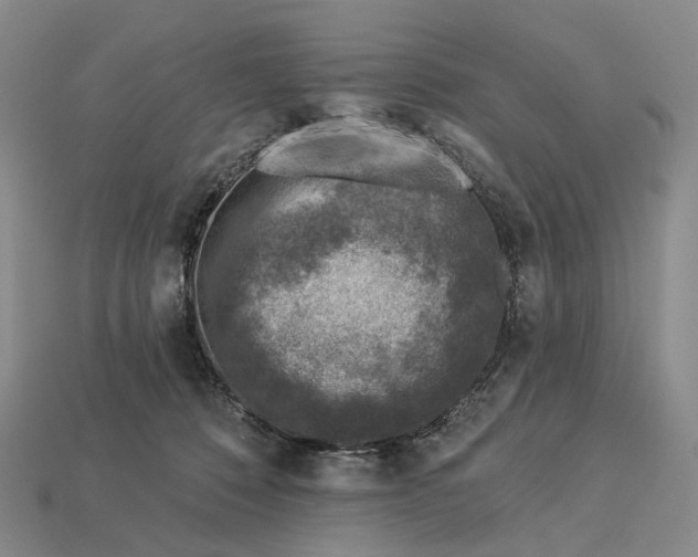 X0000112940320200909071100