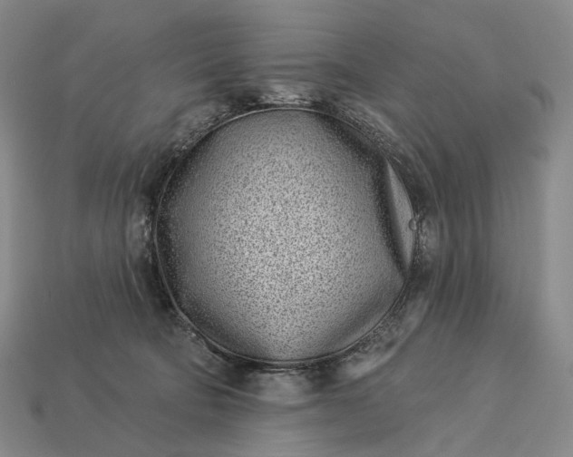 X0000112940322200909071100