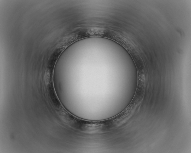 X0000112940323200909071100