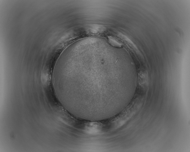 X0000112940324200909071100