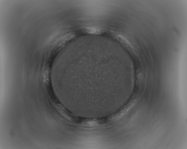 X0000112940325200909071100