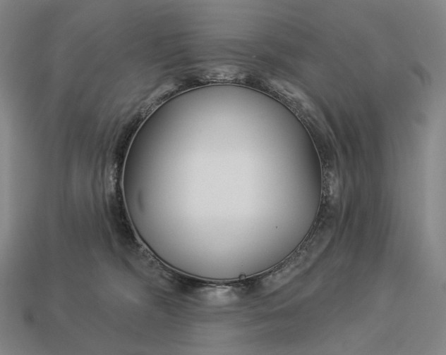 X0000112940326200909071100