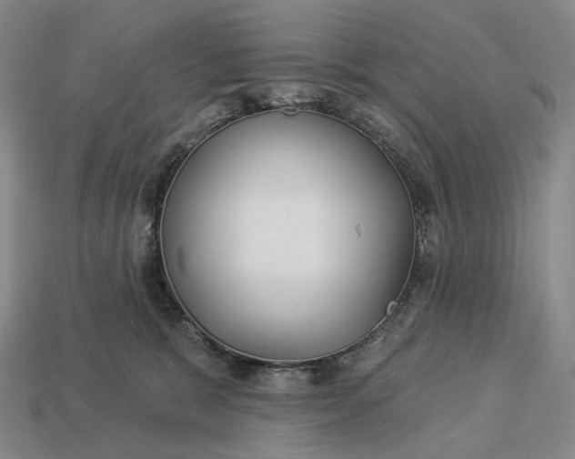 X0000112940327200909071100