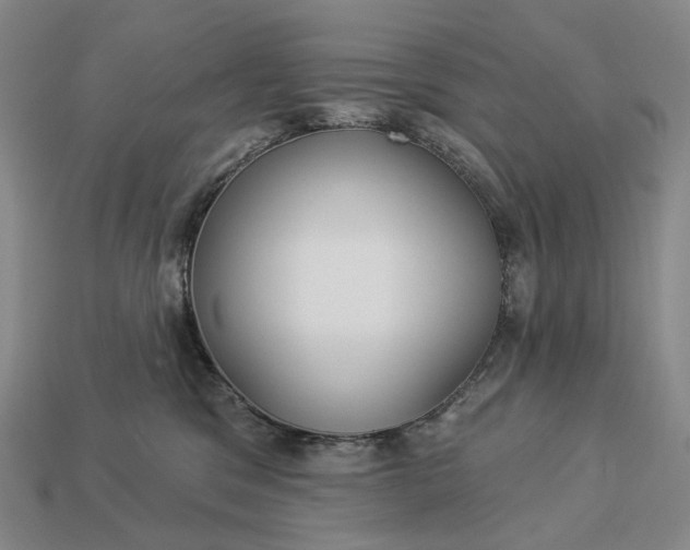 X0000112940329200909071100