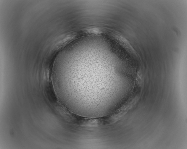 X0000112940330200909071100