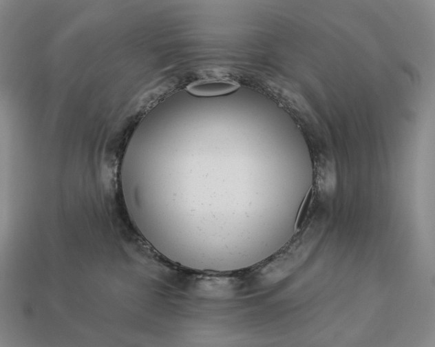 X0000112940332200909071100