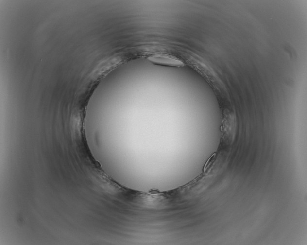 X0000112940333200909071100