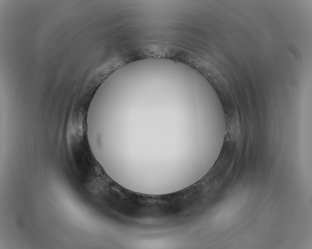 X0000112940334200909071100