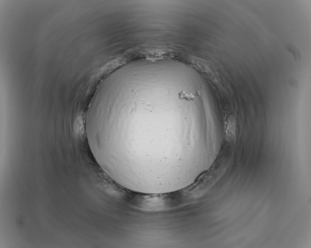 X0000112940335200909071100