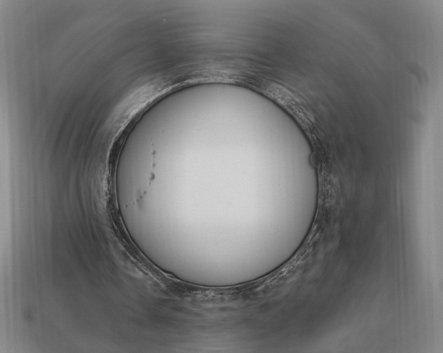 X0000112940338200909071059