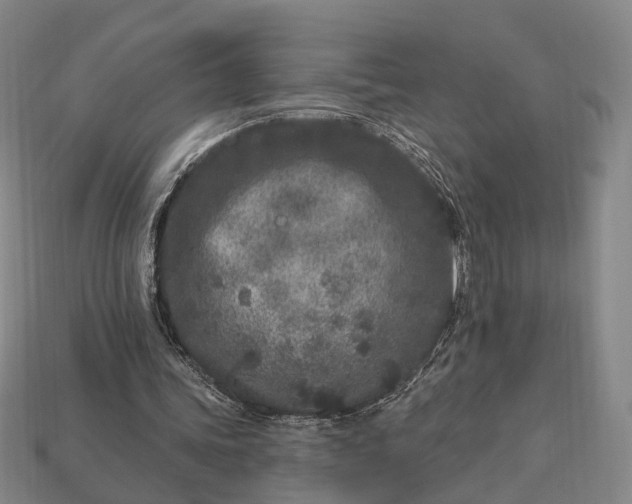 X0000112940339200909071059