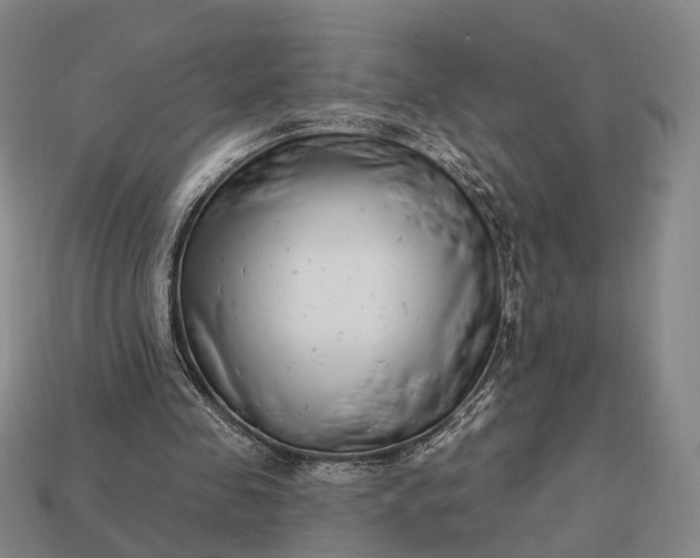 X0000112940341200909071059