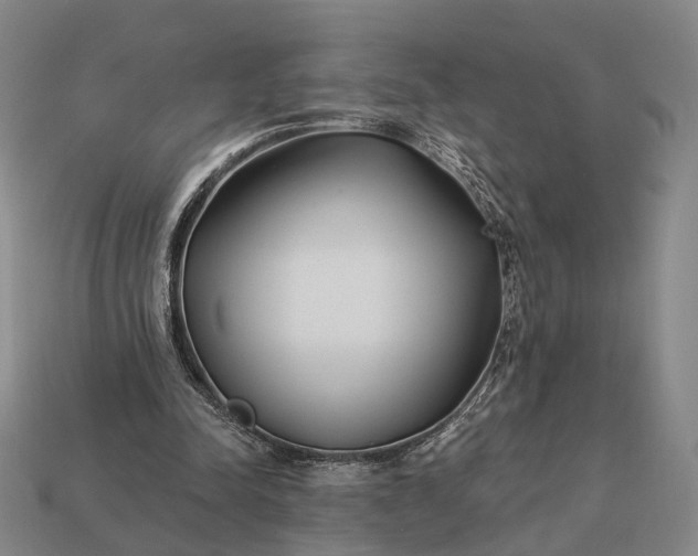 X0000112940342200909071059