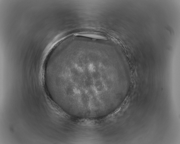 X0000112940343200909071059