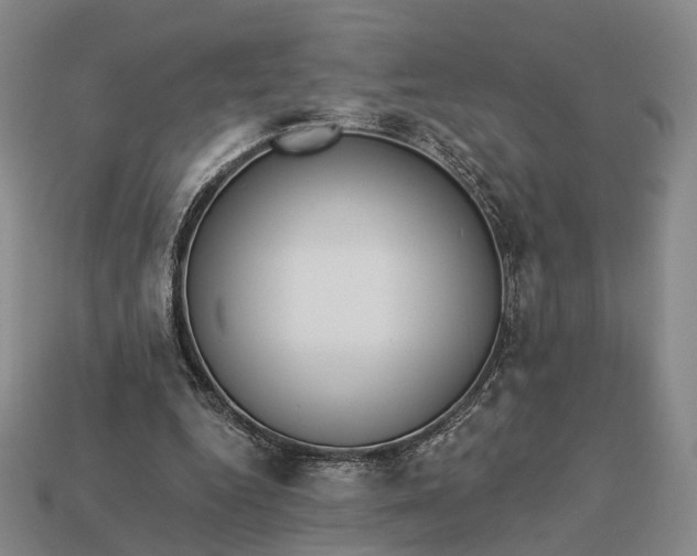 X0000112940344200909071059